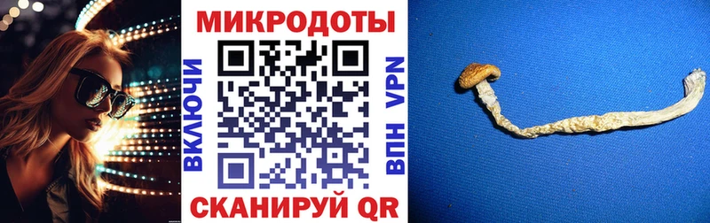 где продают   Рыльск  Галлюциногенные грибы MAGIC MUSHROOMS 